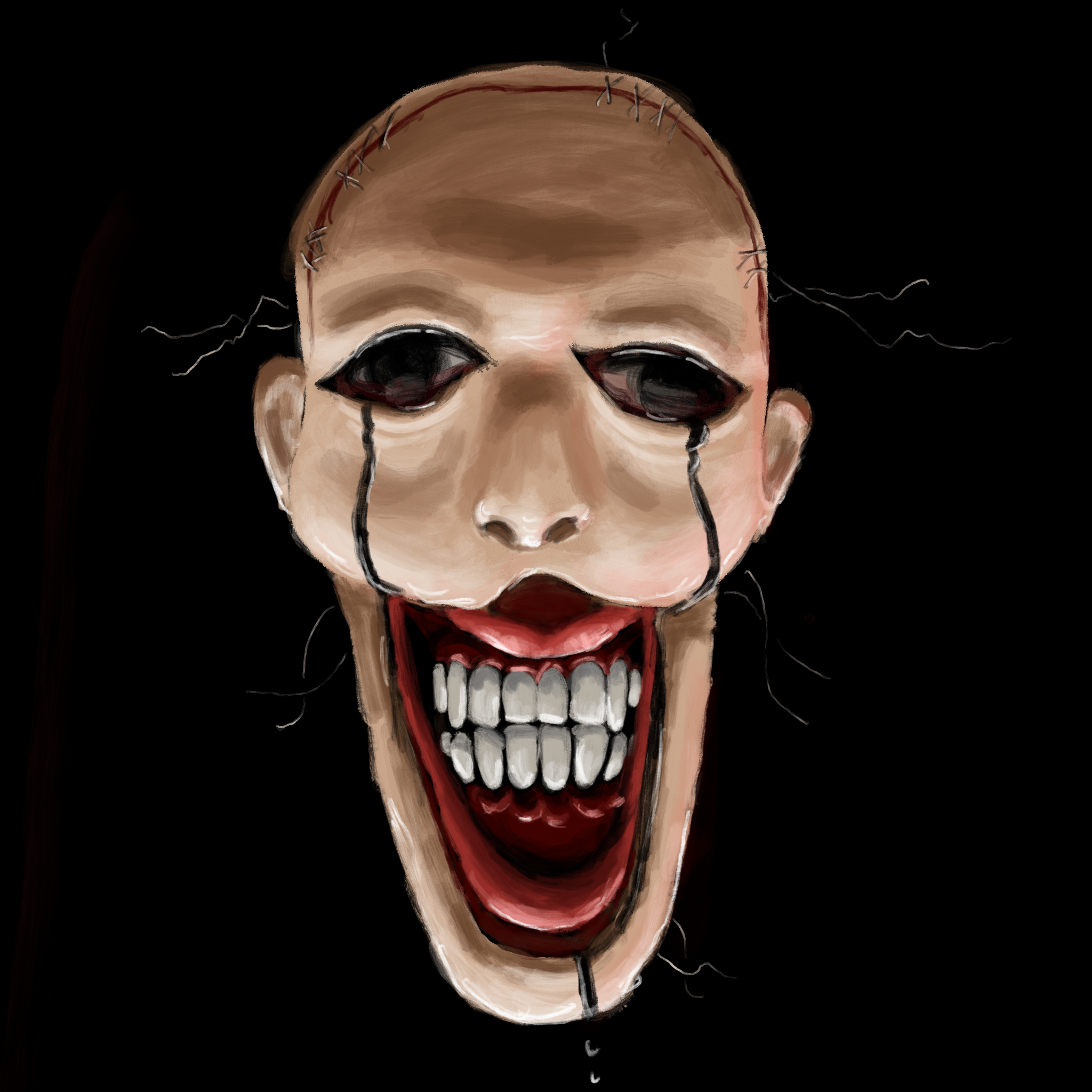 The Diary / Journal of Deranged Psychopaths album cover